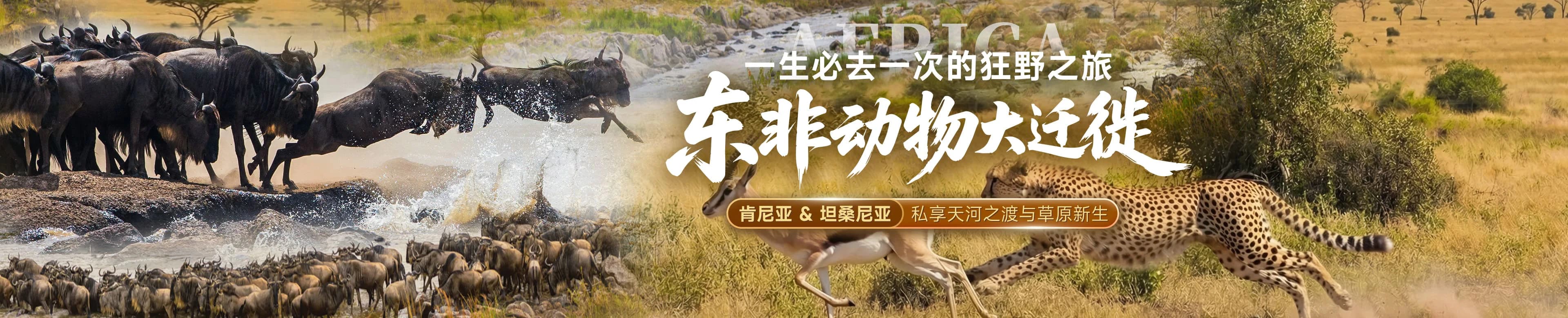 美国名城